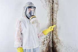 Best Mold Prevention Services  in Brewton, AL